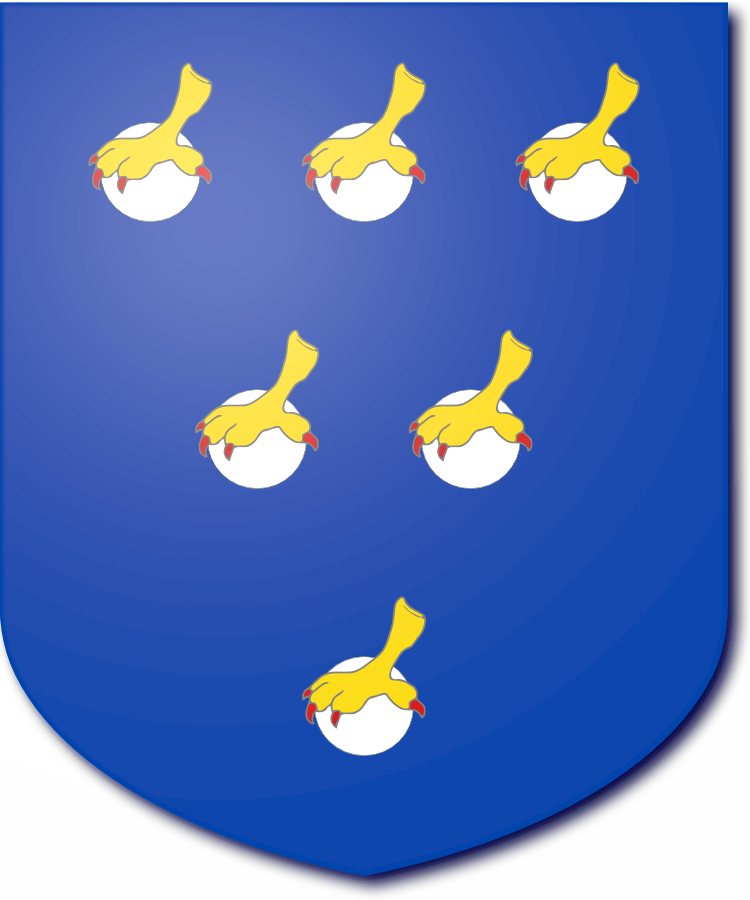 Shield image