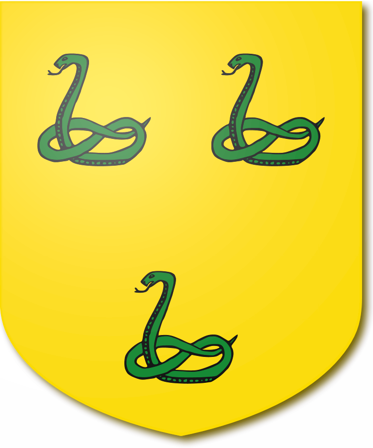 Shield image