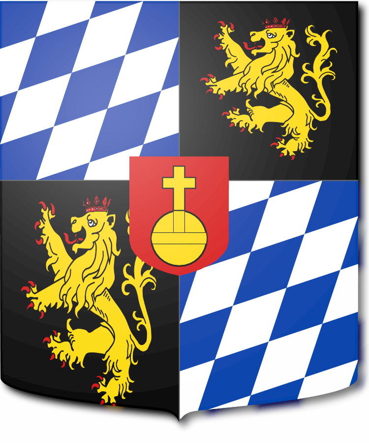 Shield image