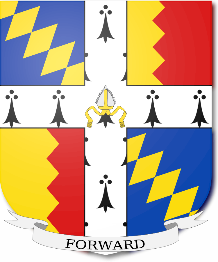 Shield image