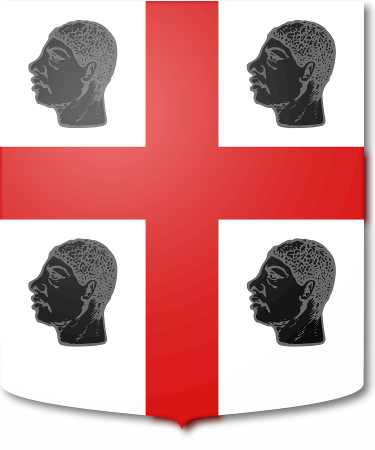 Shield image