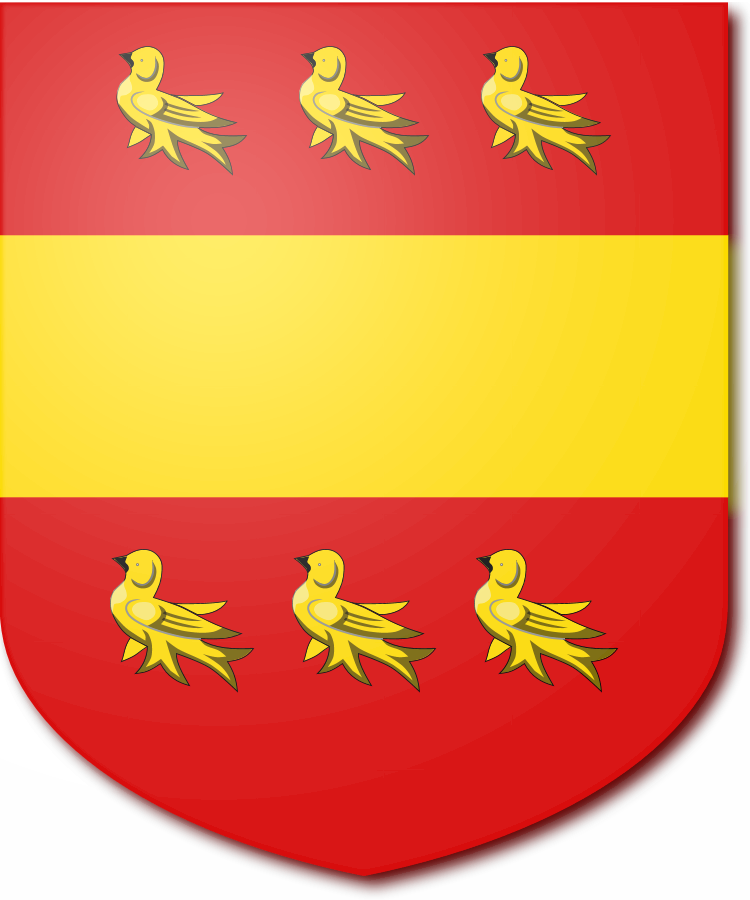 Shield image