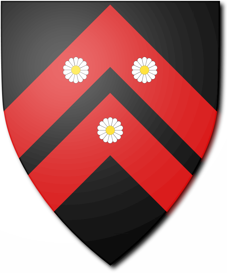 Shield image