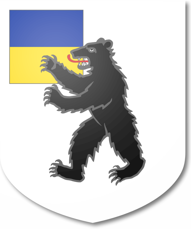 Shield image