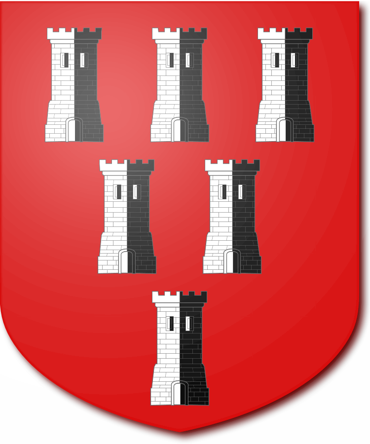 Shield image