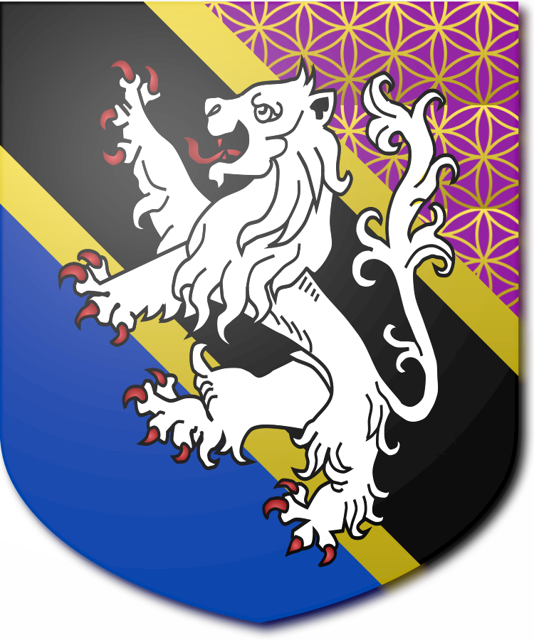 Shield image