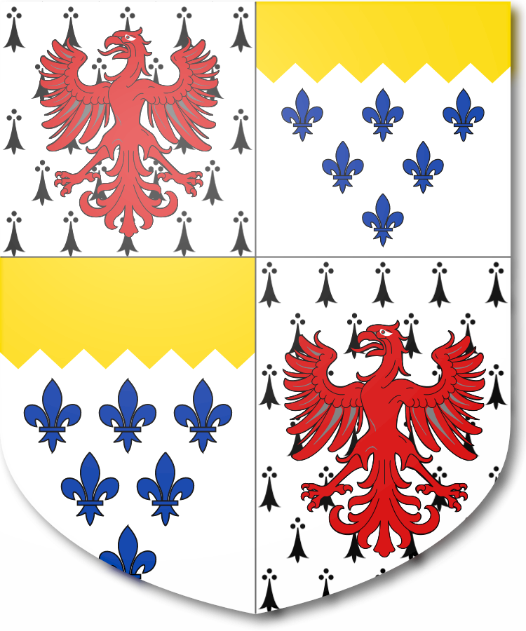 Shield image