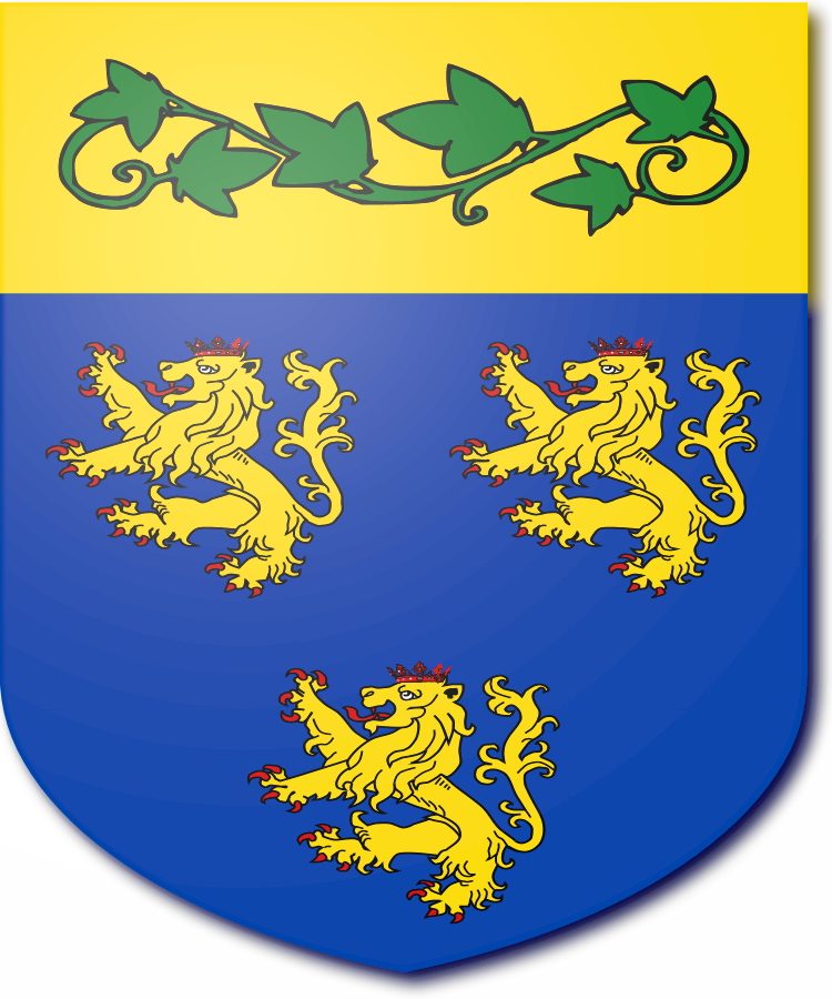 Shield image