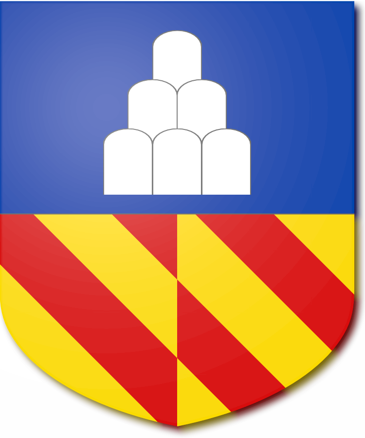 Shield image