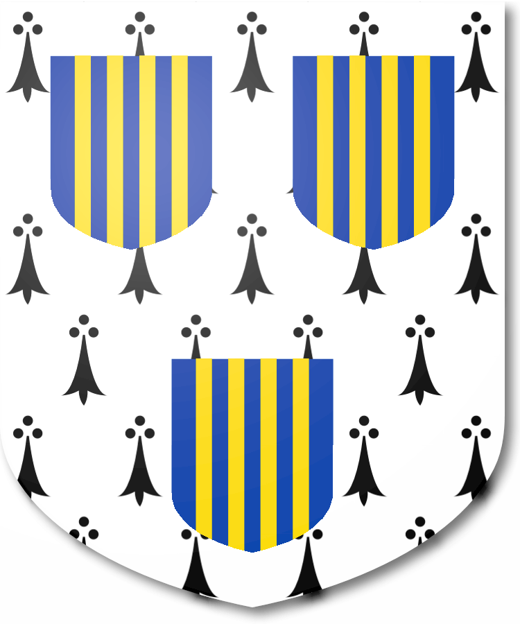 Shield image