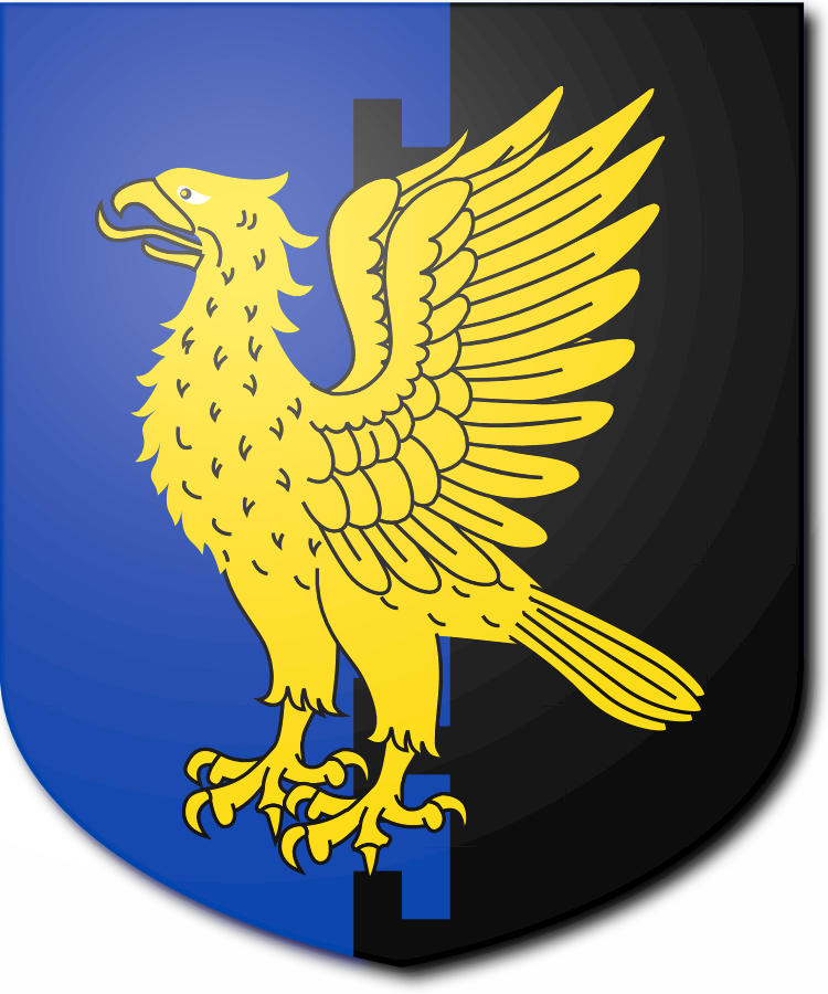 Shield image