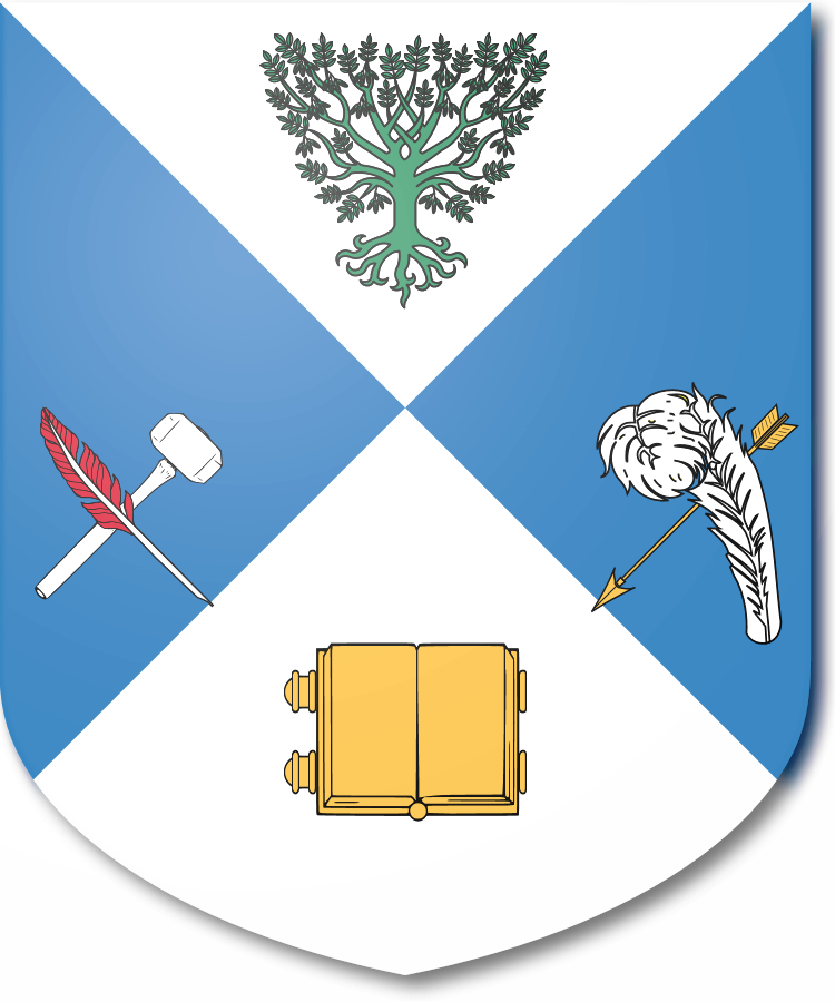 Shield image