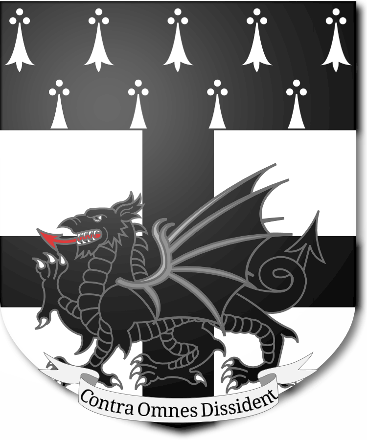 Shield image