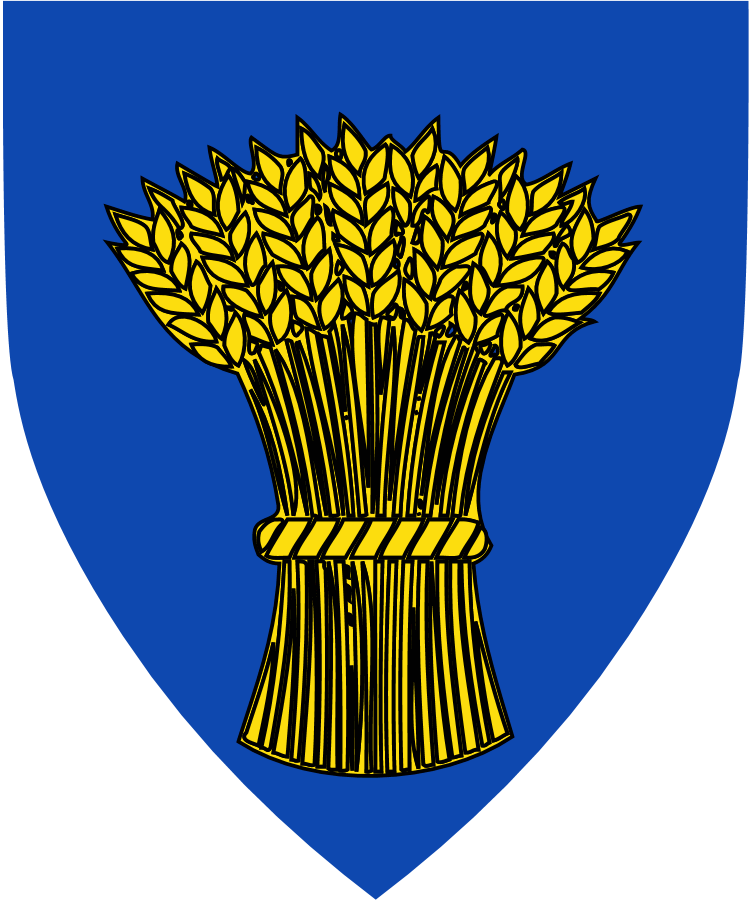 Shield image