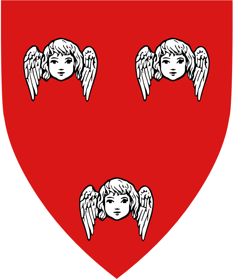 Shield image