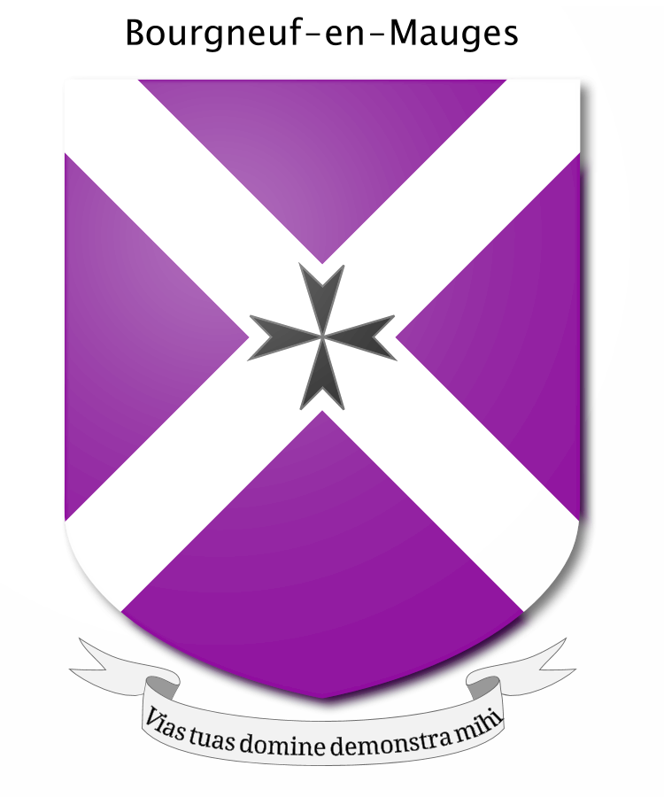 Shield image