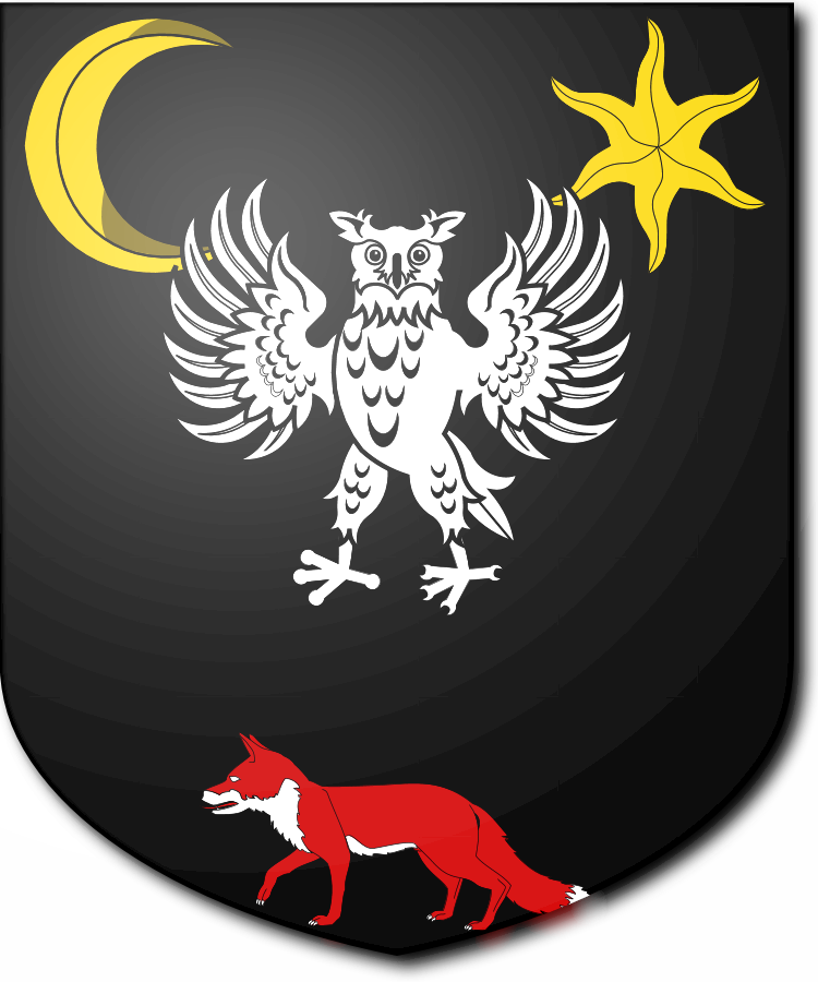 Shield image