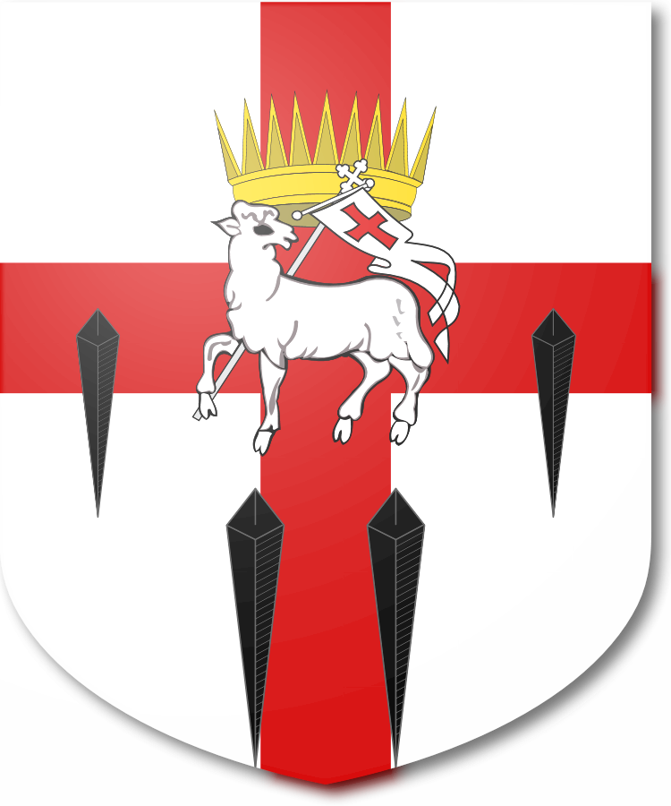 Shield image