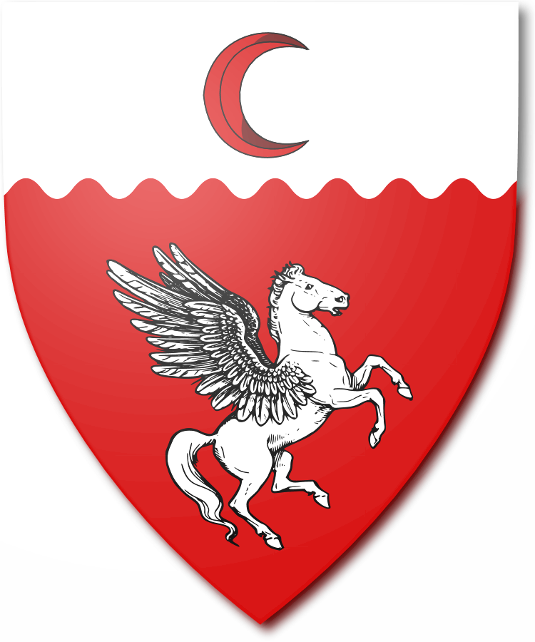 Shield image