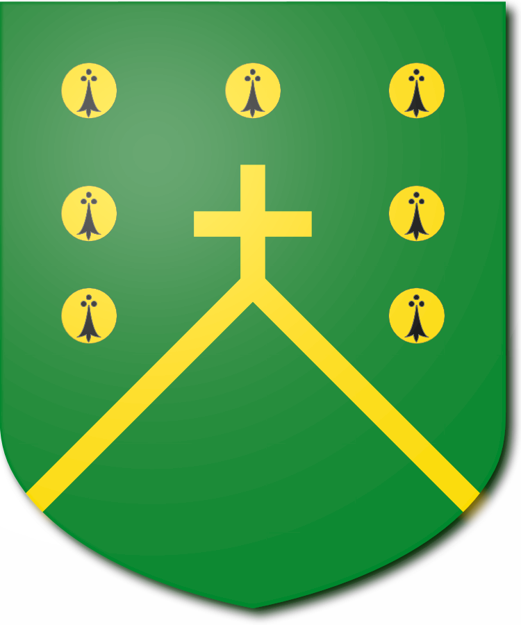 Shield image