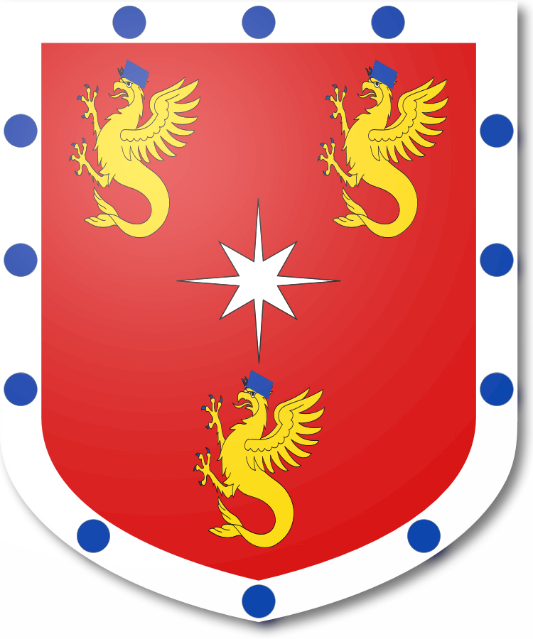 Shield image