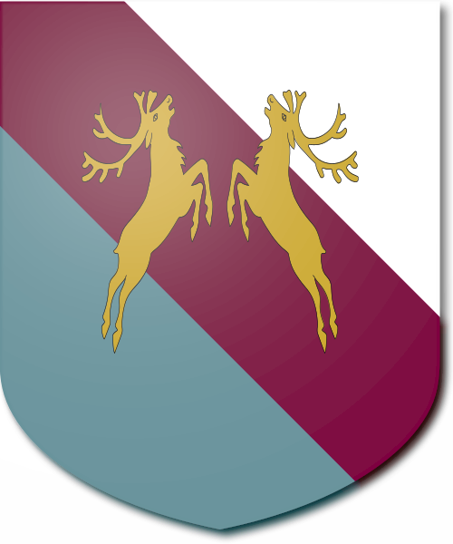 Shield image