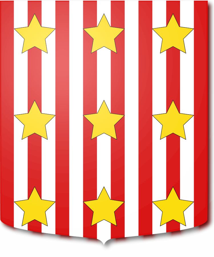 Shield image