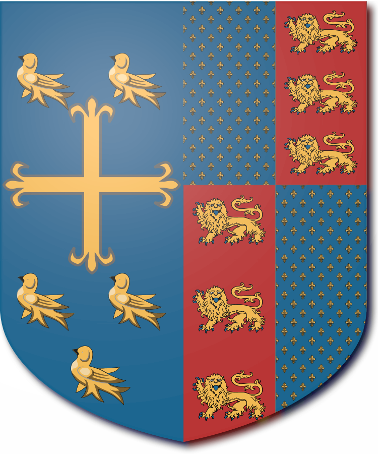 Shield image