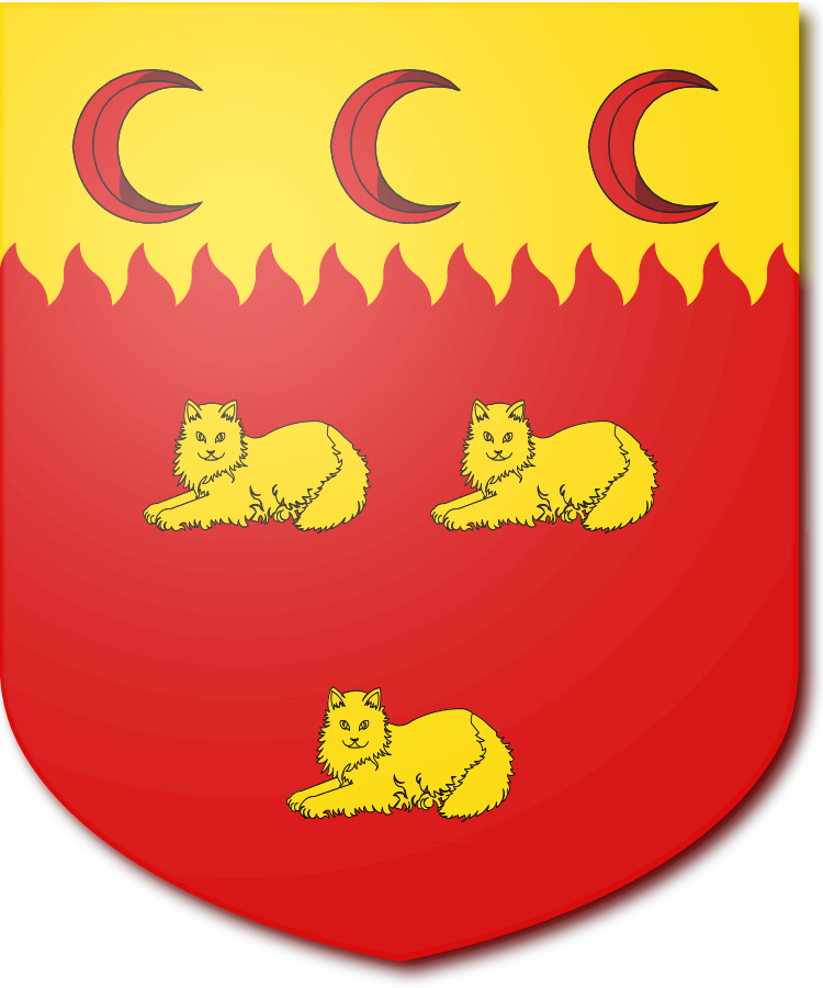 Shield image