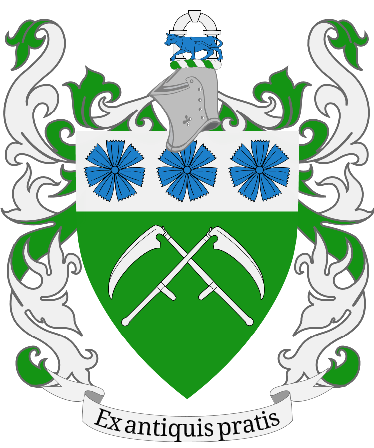 Shield image