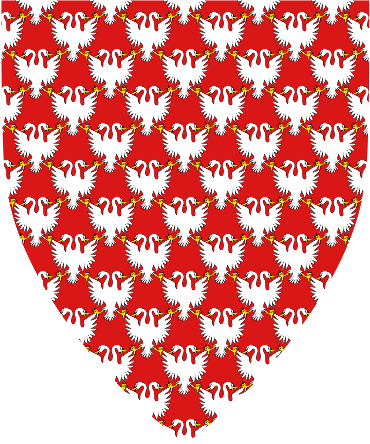 Shield image