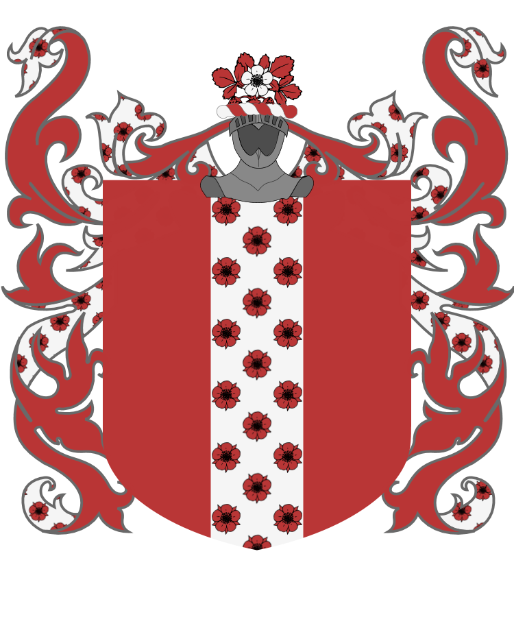 Shield image