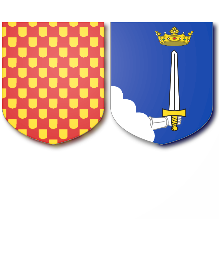 Shield image