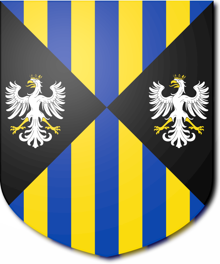 Shield image