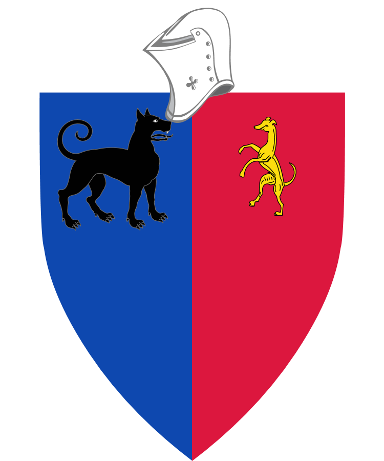 Shield image