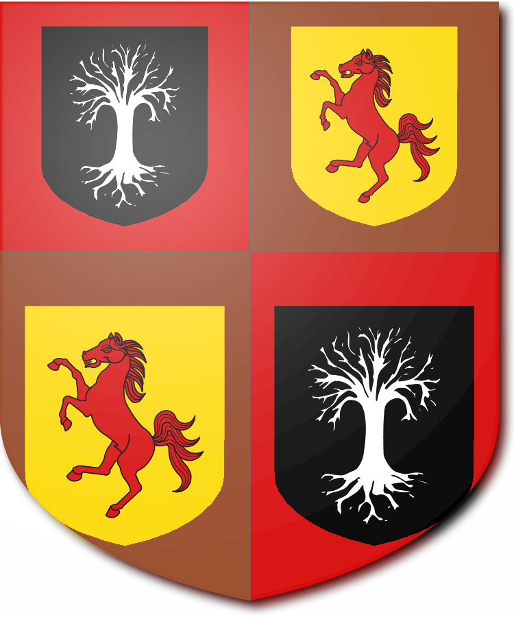 Shield image