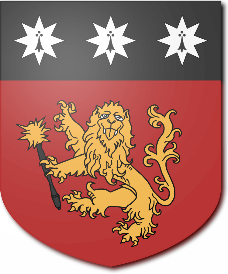 Shield image