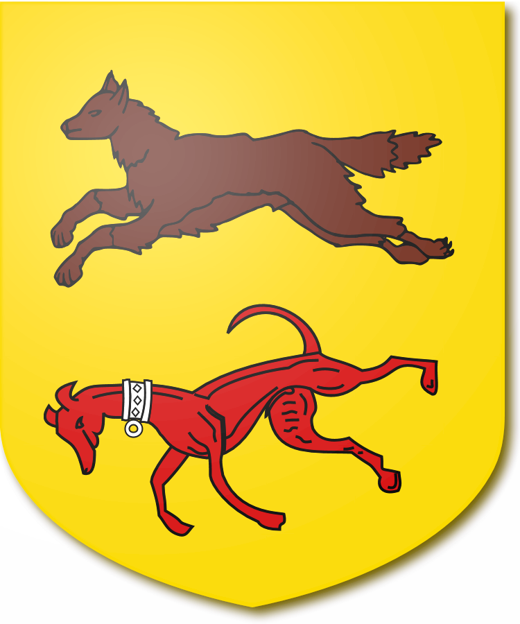 Shield image