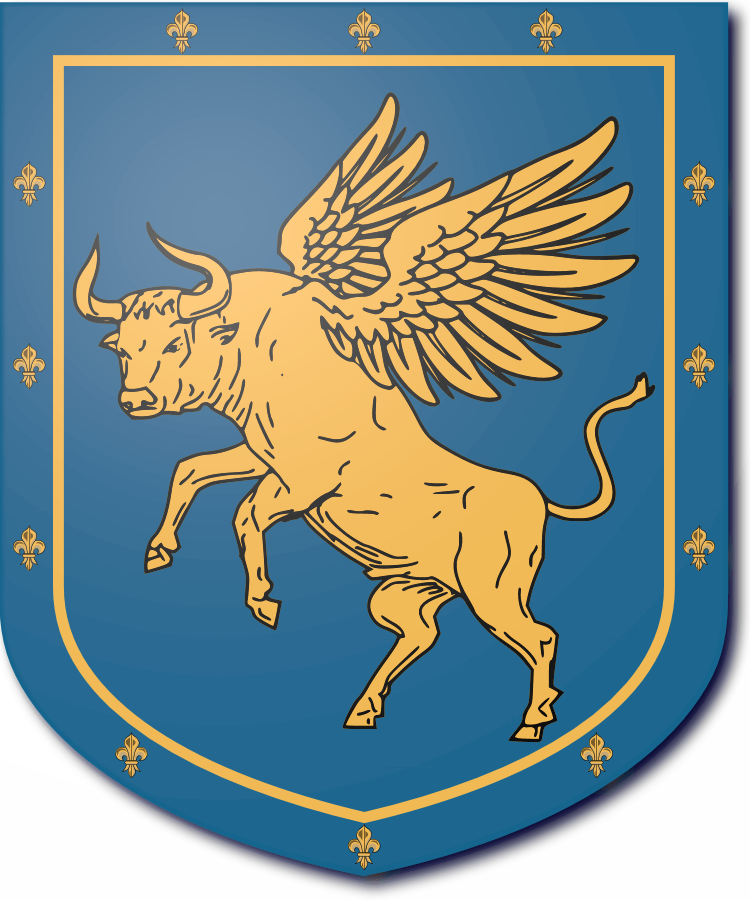 Shield image