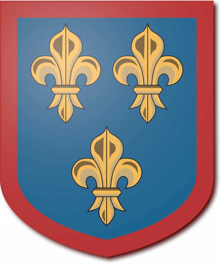 Shield image