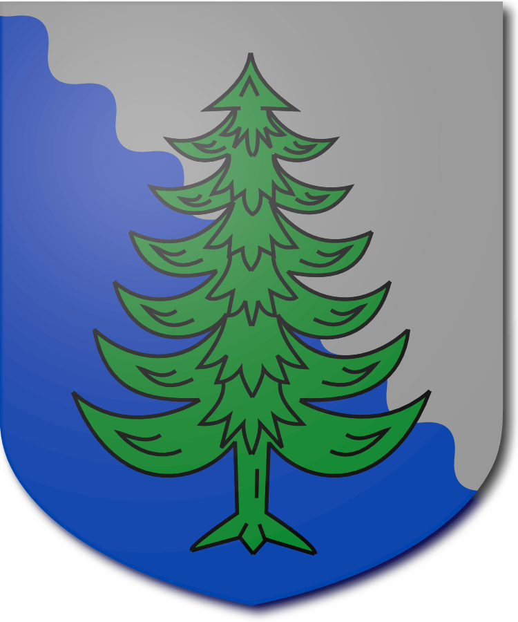 Shield image