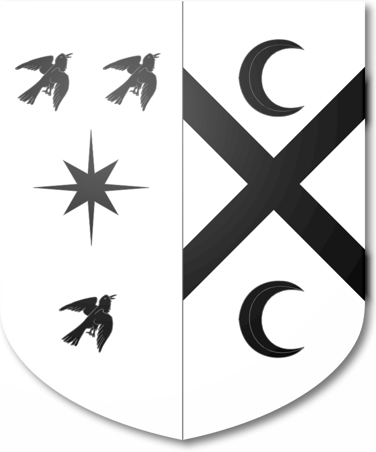 Shield image