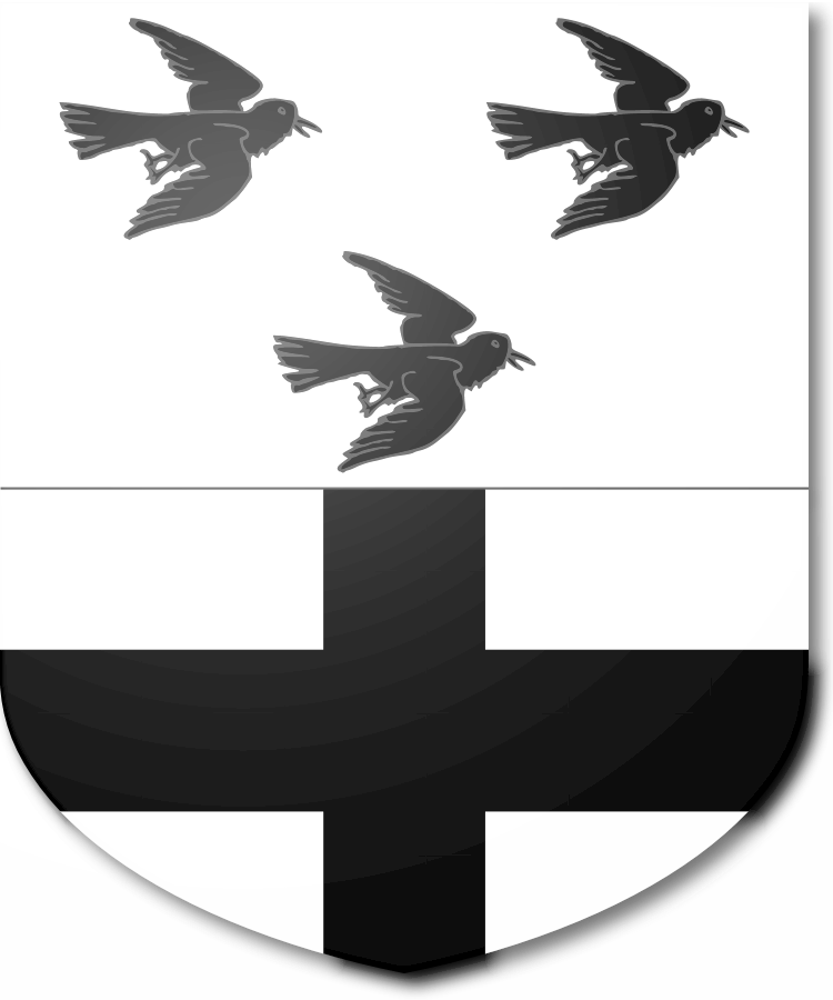 Shield image