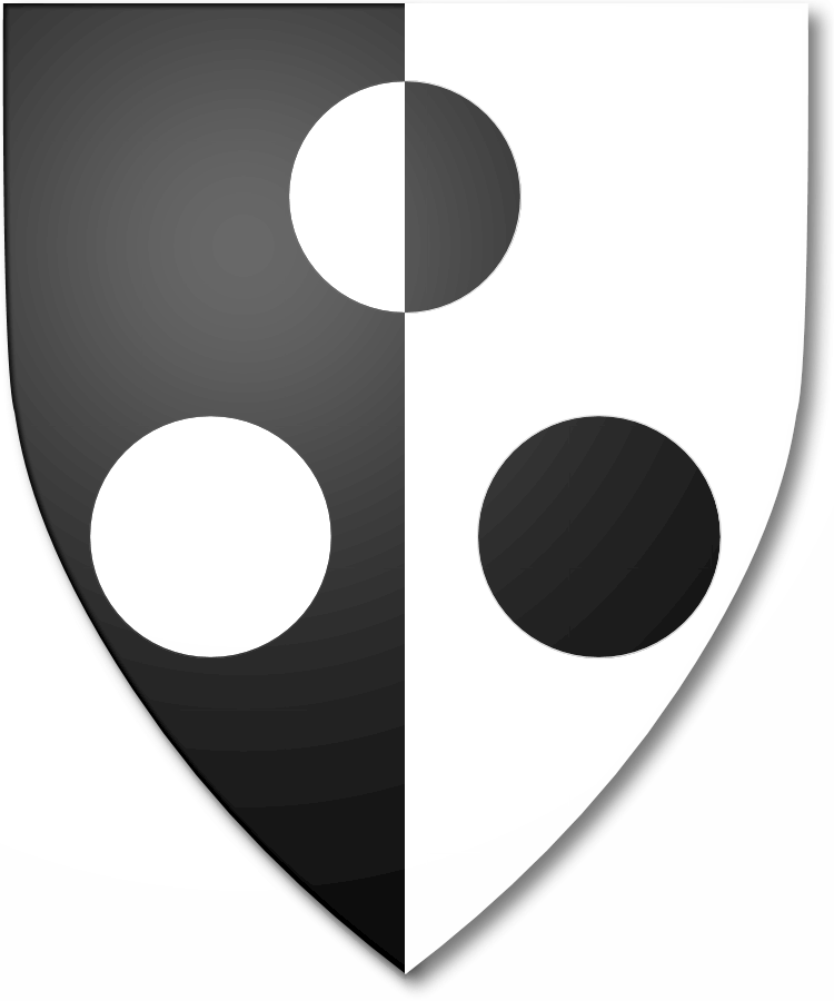 Shield image