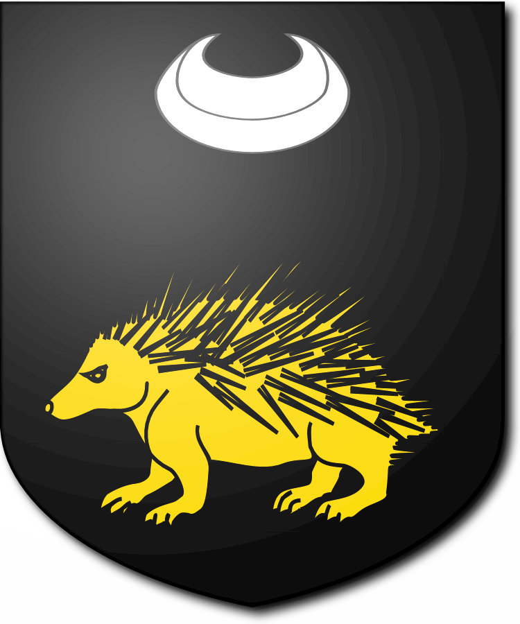 Shield image