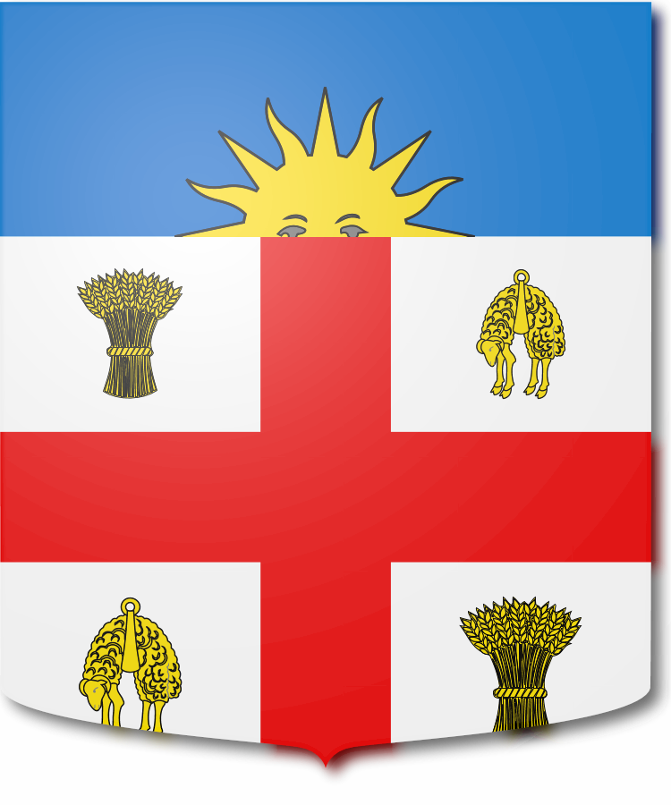 Shield image