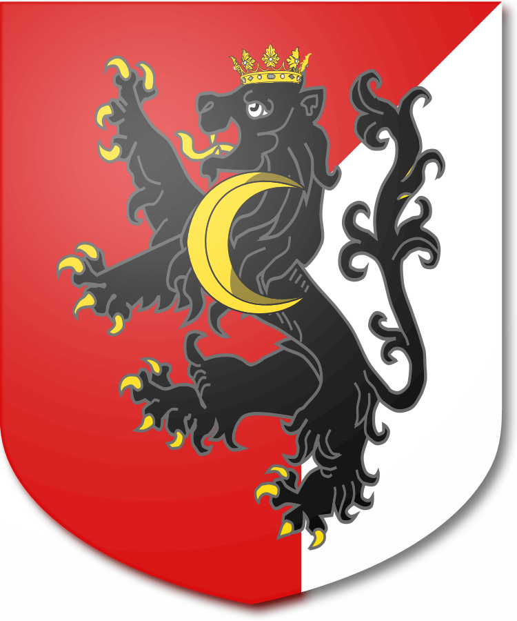 Shield image