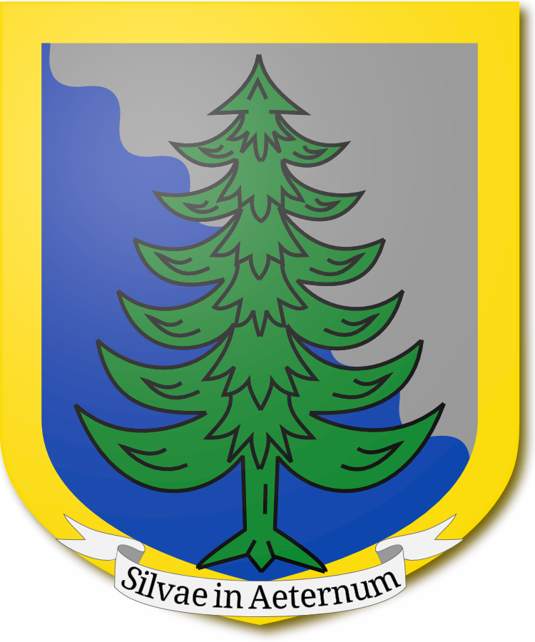 Shield image