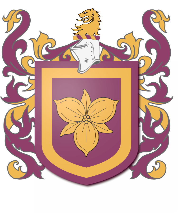 Shield image