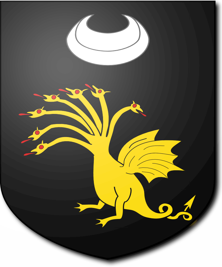 Shield image